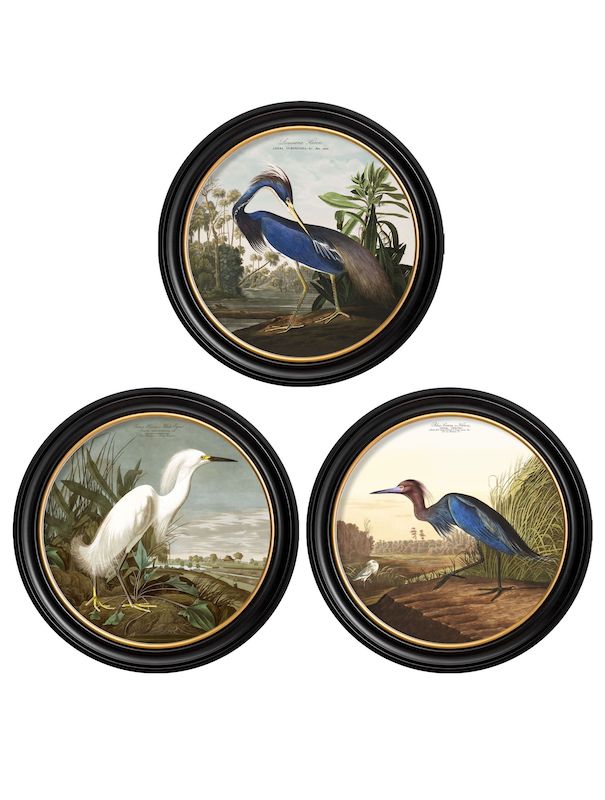 Audubons Herons c.1838 Collection